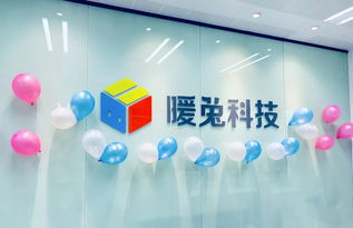 廈門暖兔科技前端工程師招聘 工程技術(shù)咨詢服務(wù)領(lǐng)域的挑戰(zhàn)與機(jī)遇